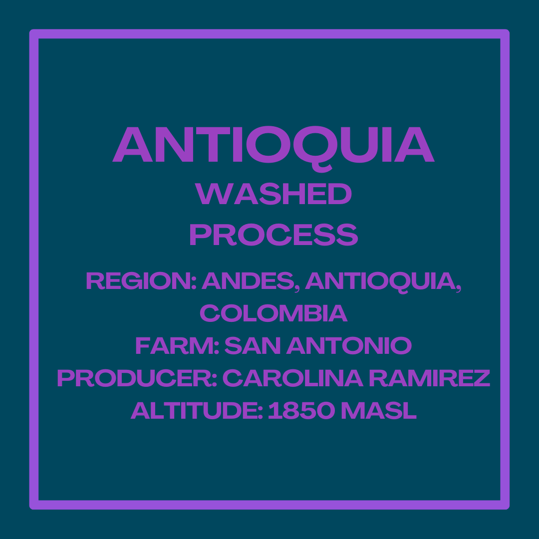 Antioquia Washed Process