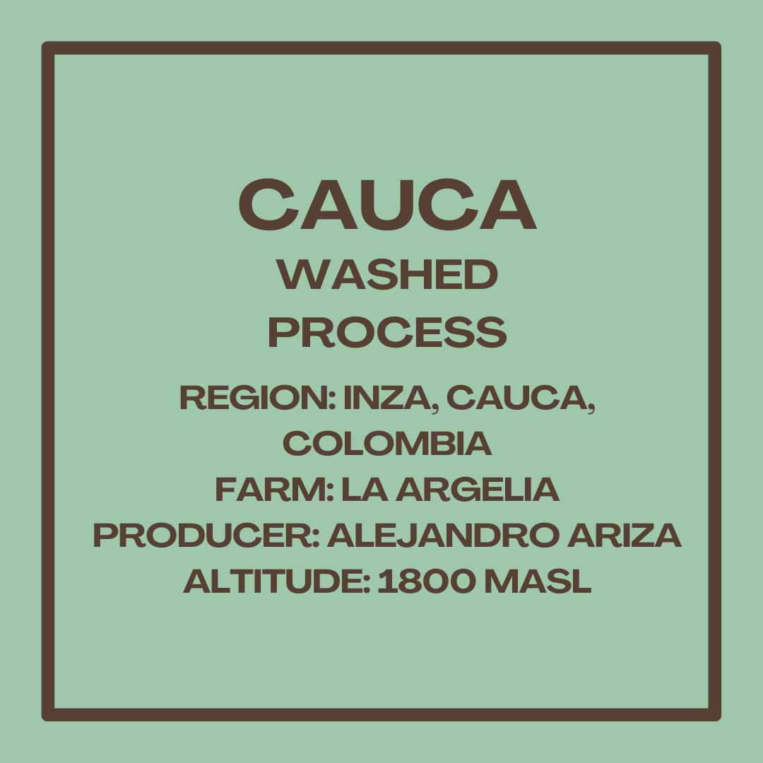 Cauca Washed Process