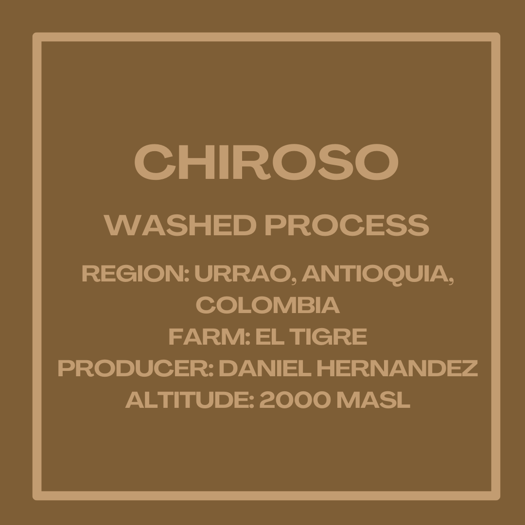 Chiroso Washed Process