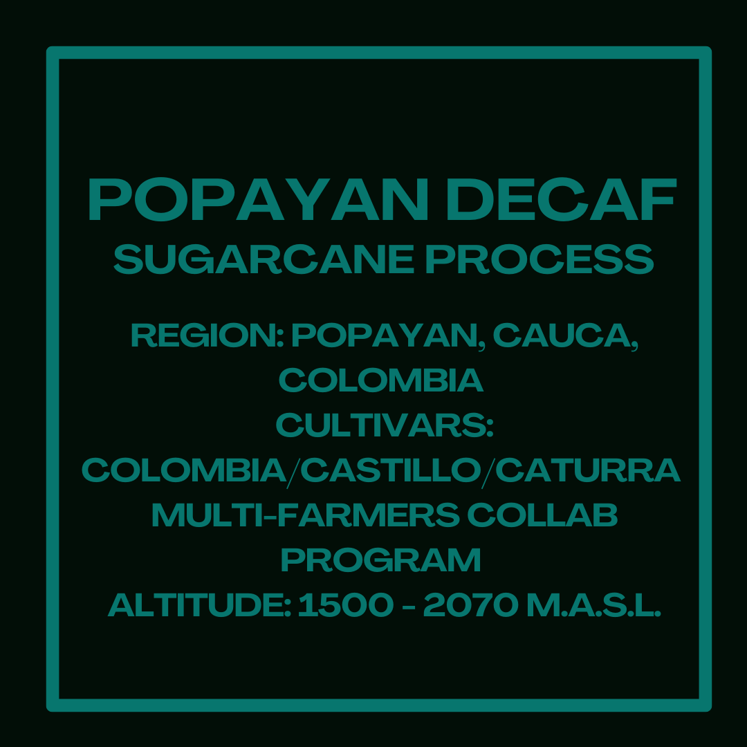 Popayan Decaf Sugarcane Process