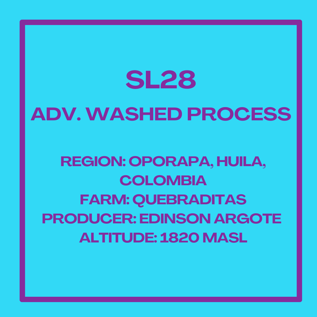 SL28 Adv. Washed Process