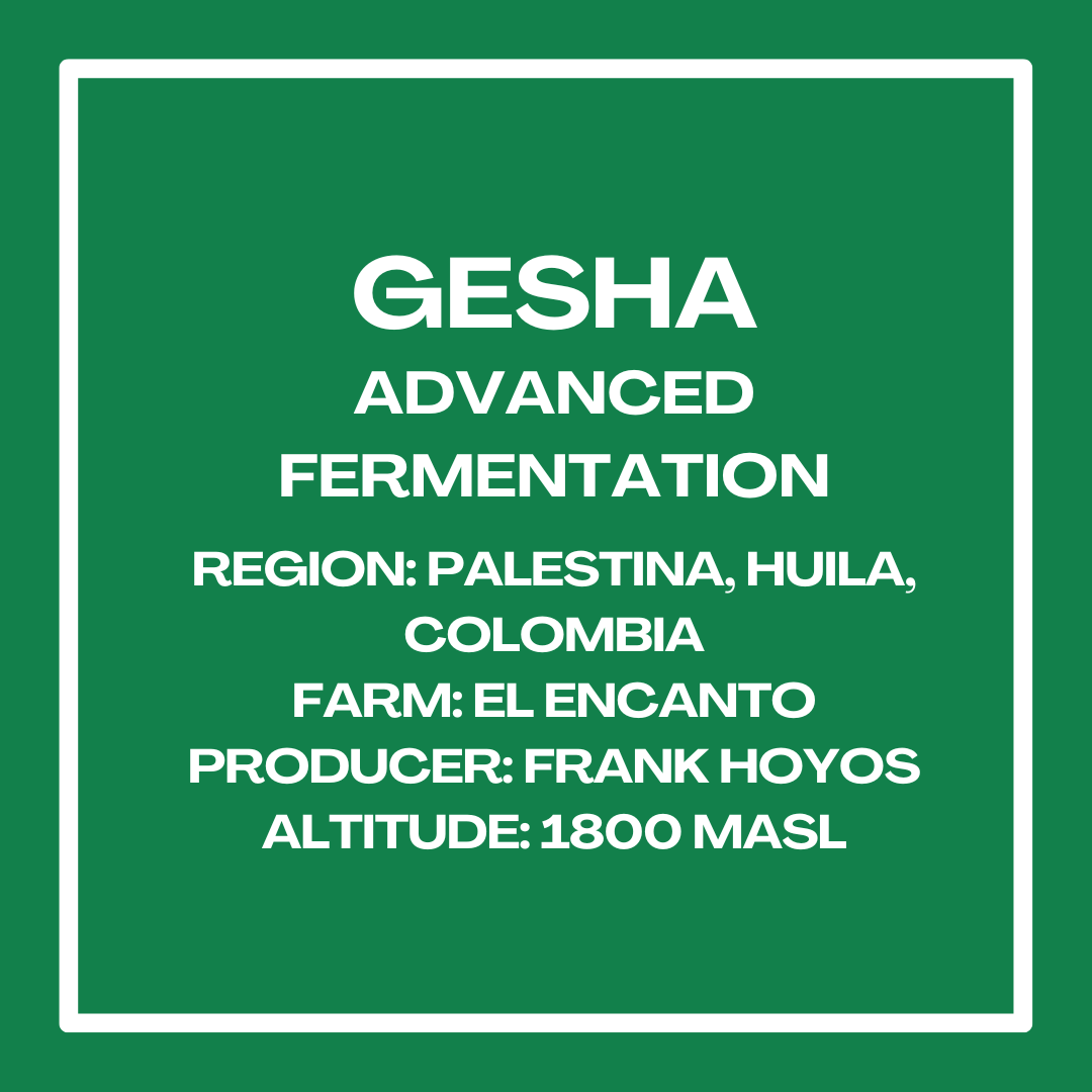 Gesha Advanced Fermentation