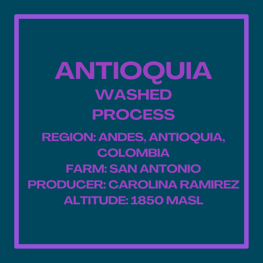 Antioquia Washed Process