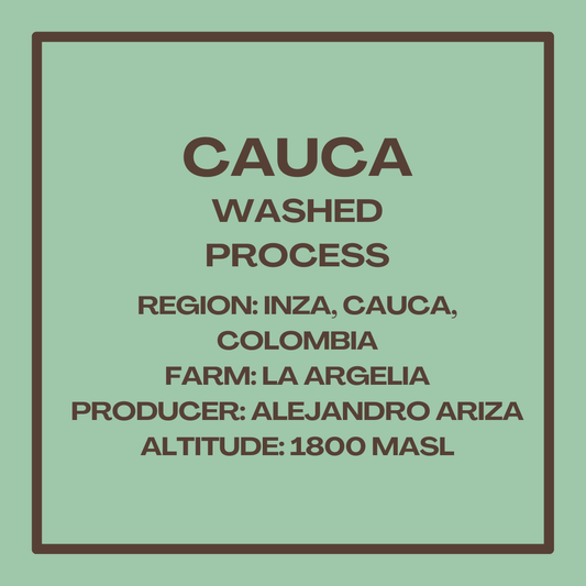 Cauca Washed Process