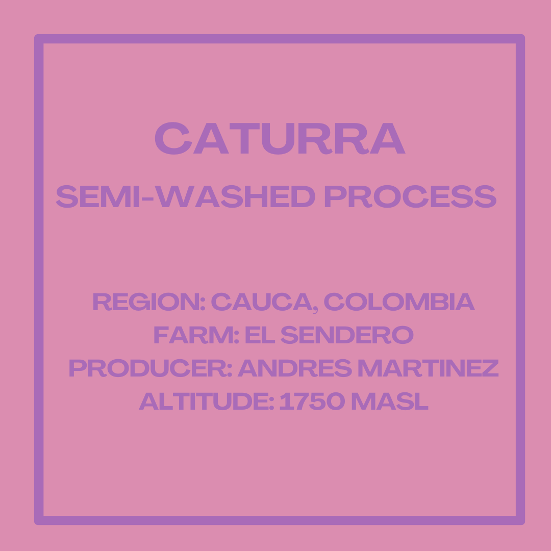 Caturra Semi-Washed