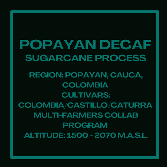 Popayan Decaf Sugarcane Process