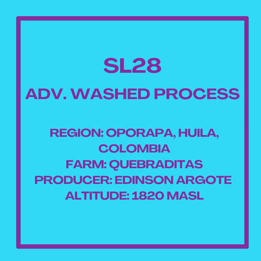 SL28 Adv. Washed Process
