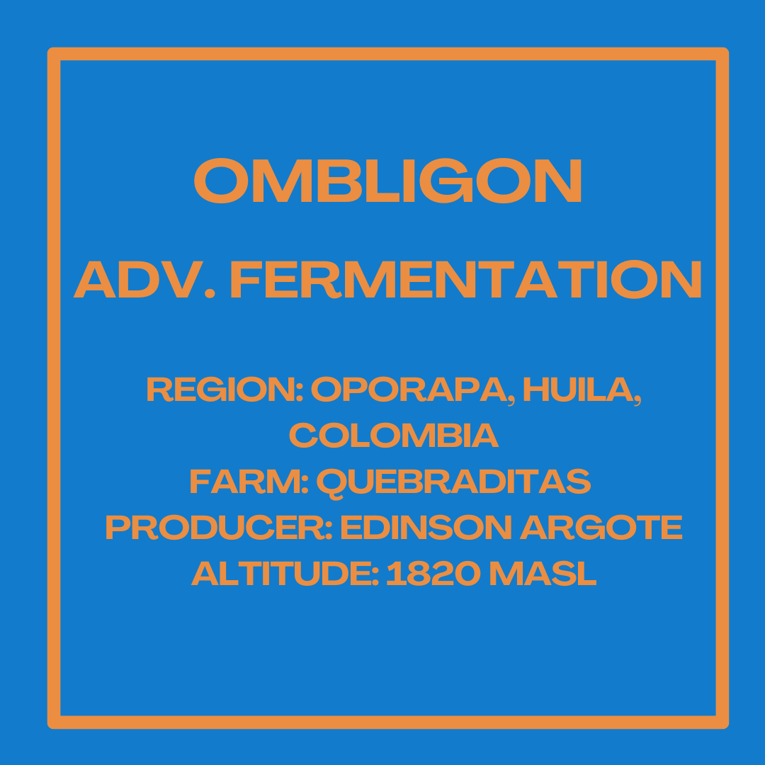 Ombligon Adv. Fermentation