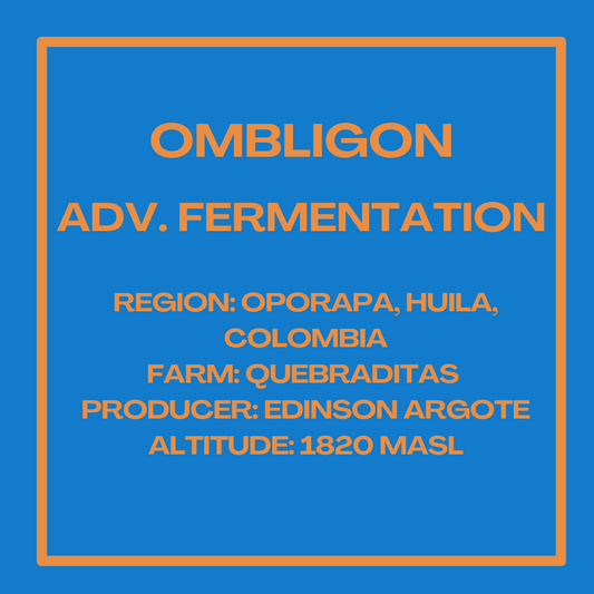 Ombligon Adv. Fermentation